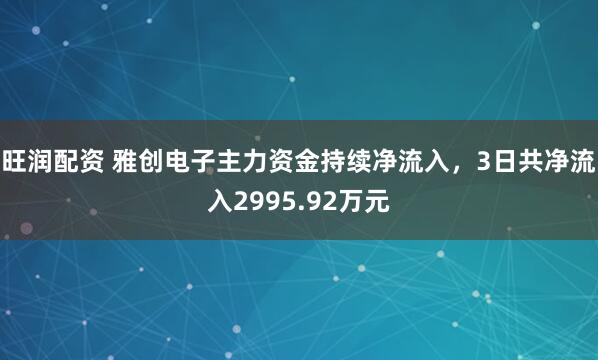 旺润配资 雅创电子主力资金持续净流入，3日共净流入2995.92万元