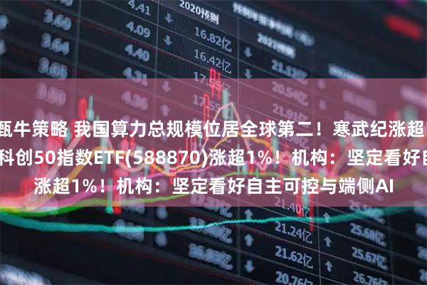 甄牛策略 我国算力总规模位居全球第二！寒武纪涨超11%，再创新高！科创50指数ETF(588870)涨超1%！机构：坚定看好自主可控与端侧AI