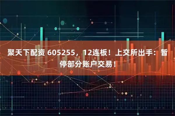 聚天下配资 605255，12连板！上交所出手：暂停部分账户交易！